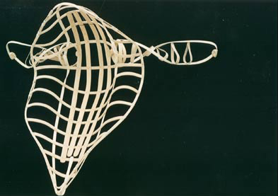 Image of wooden skeleton of vessel.
