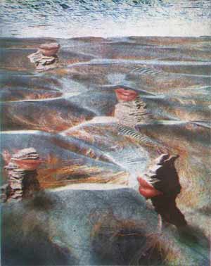 outcrops of chasma boreale